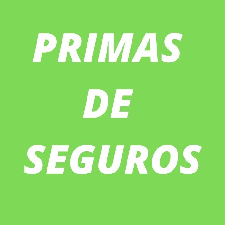 Gu A Completa Para Contabilizar Primas De Seguros En La Empresa